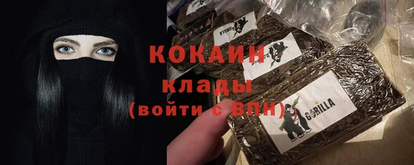 дживик Баксан