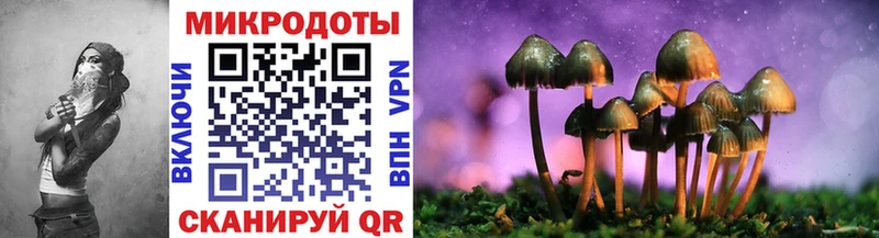 Галлюциногенные грибы Psilocybe  купить  цена  Горнозаводск 